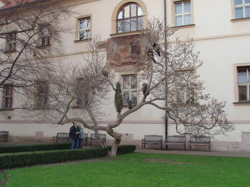 P4020022 kopie.jpg