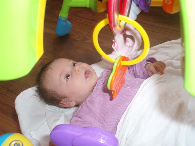 P3310073 kopie.jpg