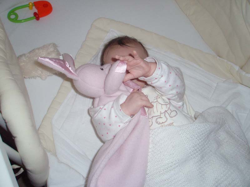 P5090006 kopie.jpg