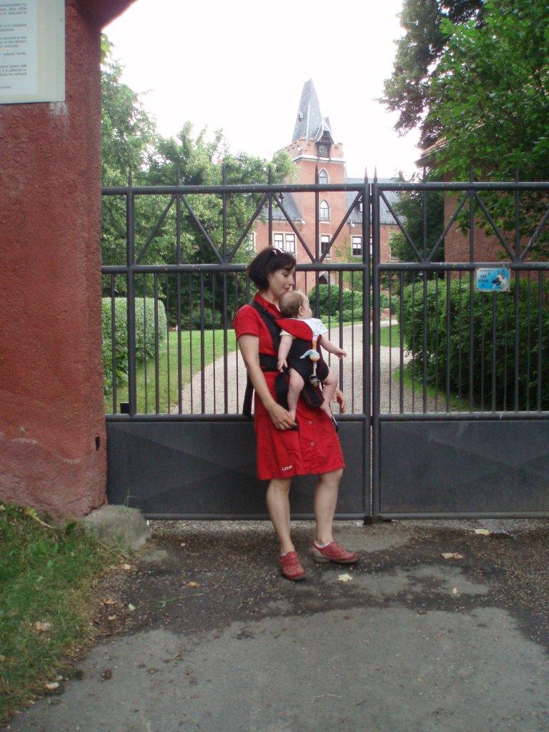 P7053867.jpg